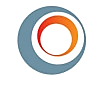 Портфолио